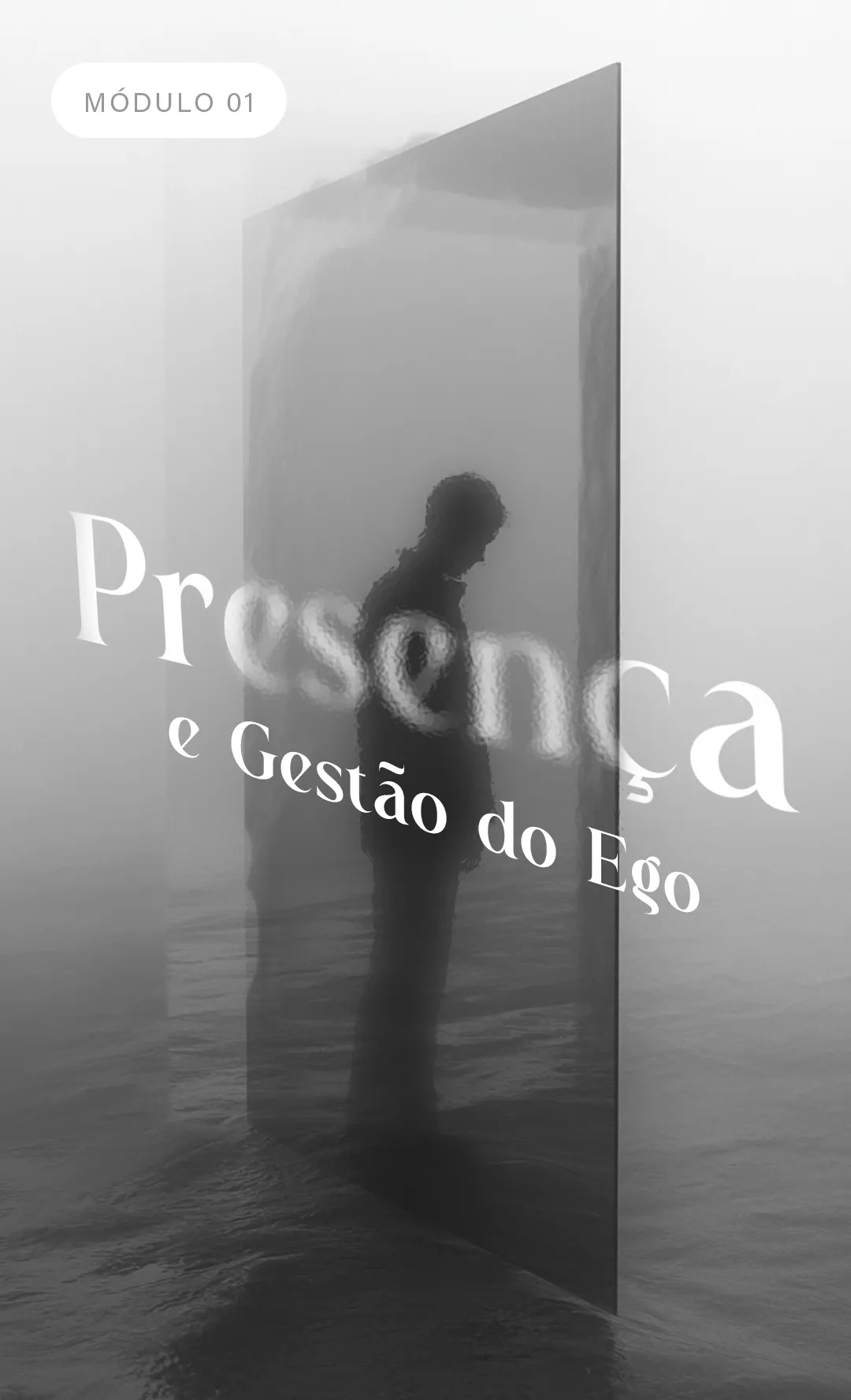 Capas_modulos copiar