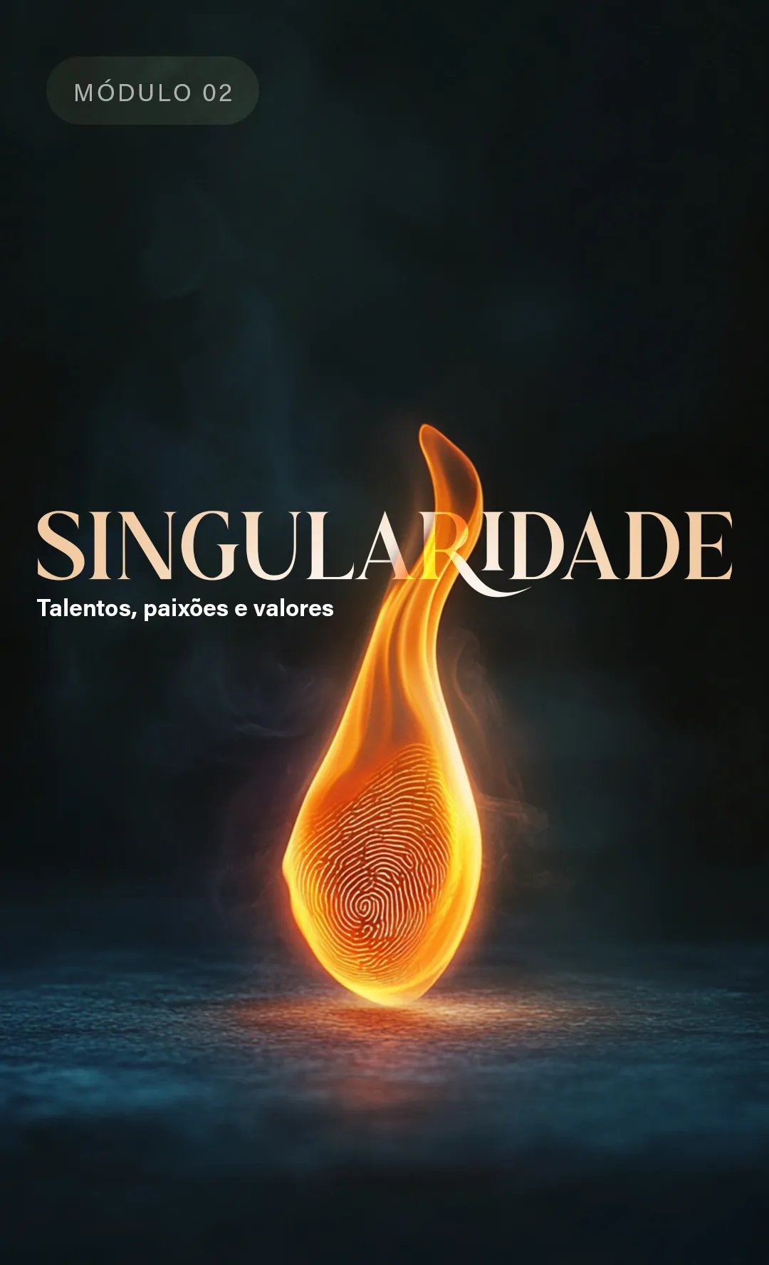 Capas_modulos_02