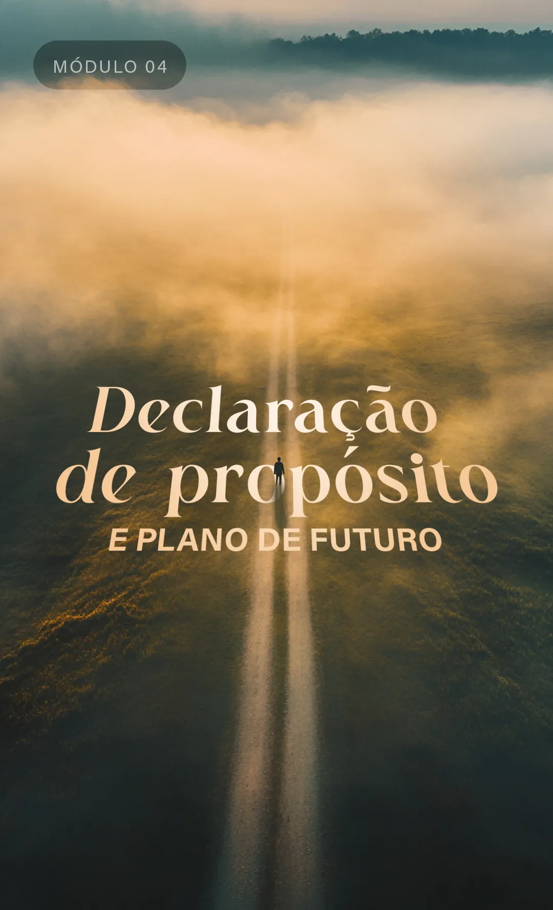 Capas_modulos_04