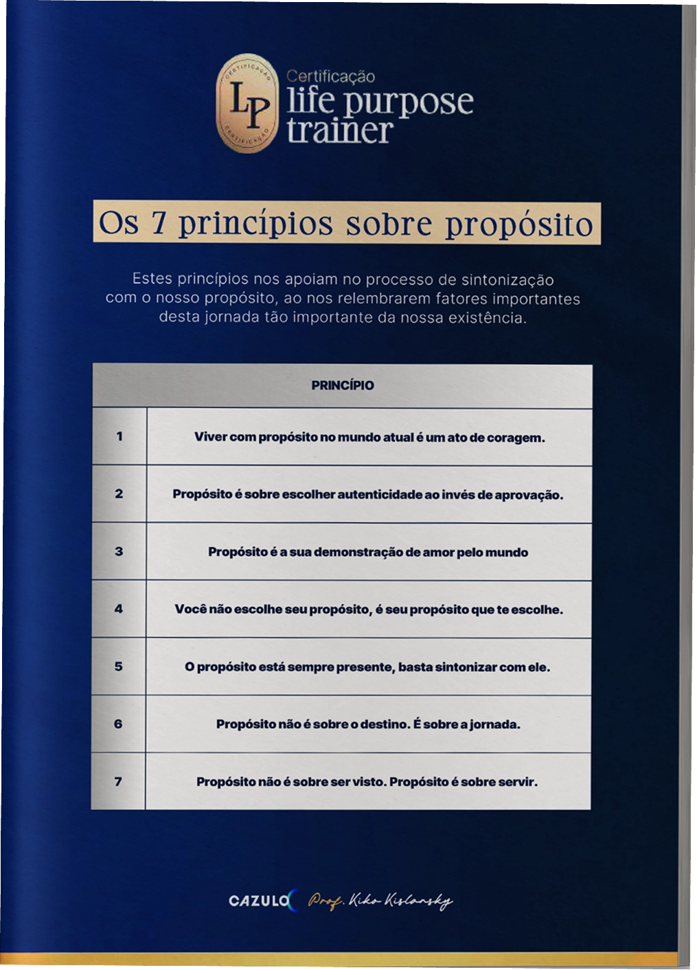 Página do Workbook Propositologia